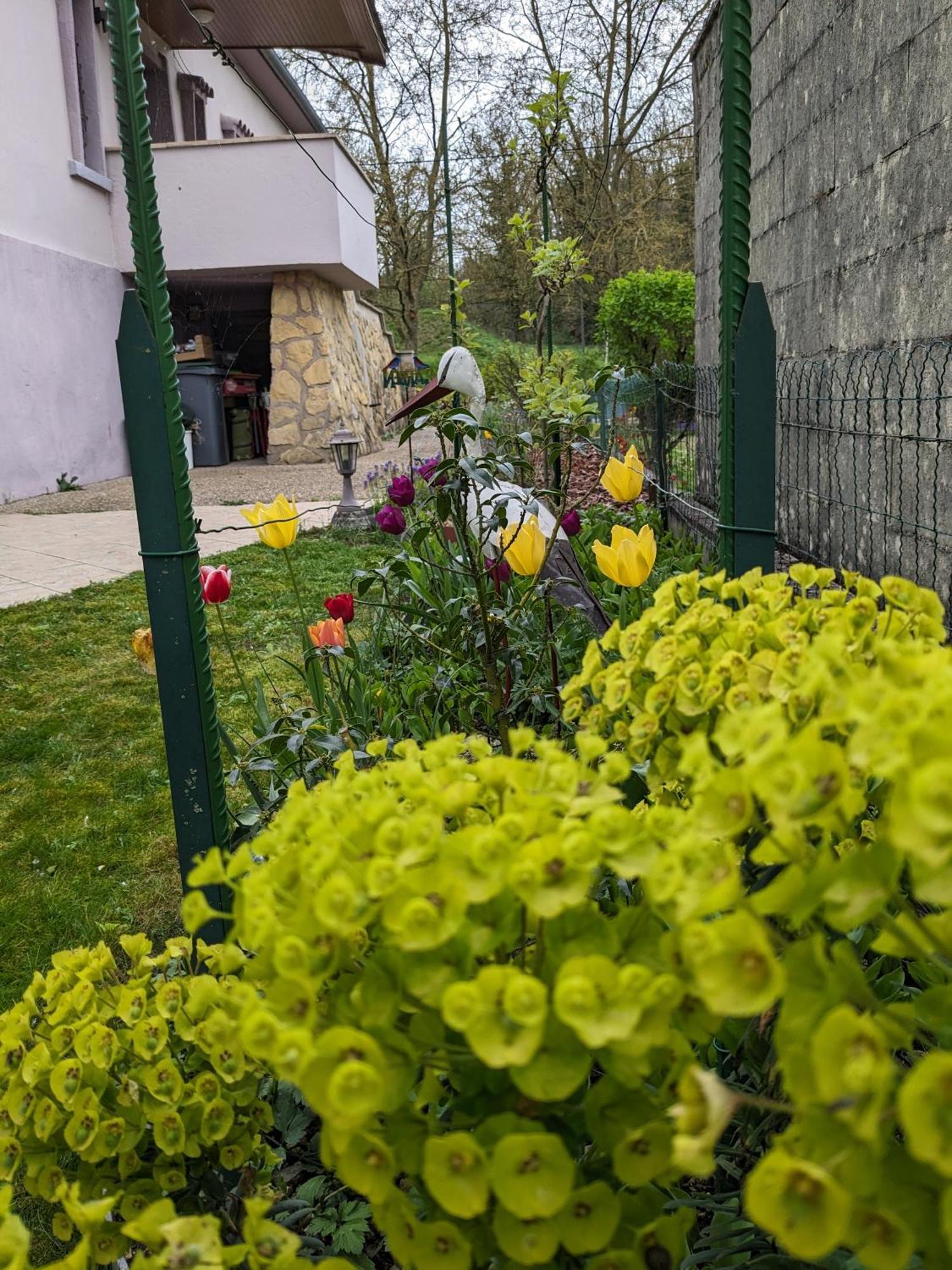 Villa Chantal Verdun-sur-Meuse Exteriör bild